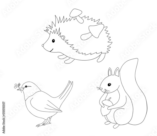Cute outline hedgehog, squirrel and bird for coloring page. Hand drawn characters forest animals isolated on white background. Line Woodland fall illustration