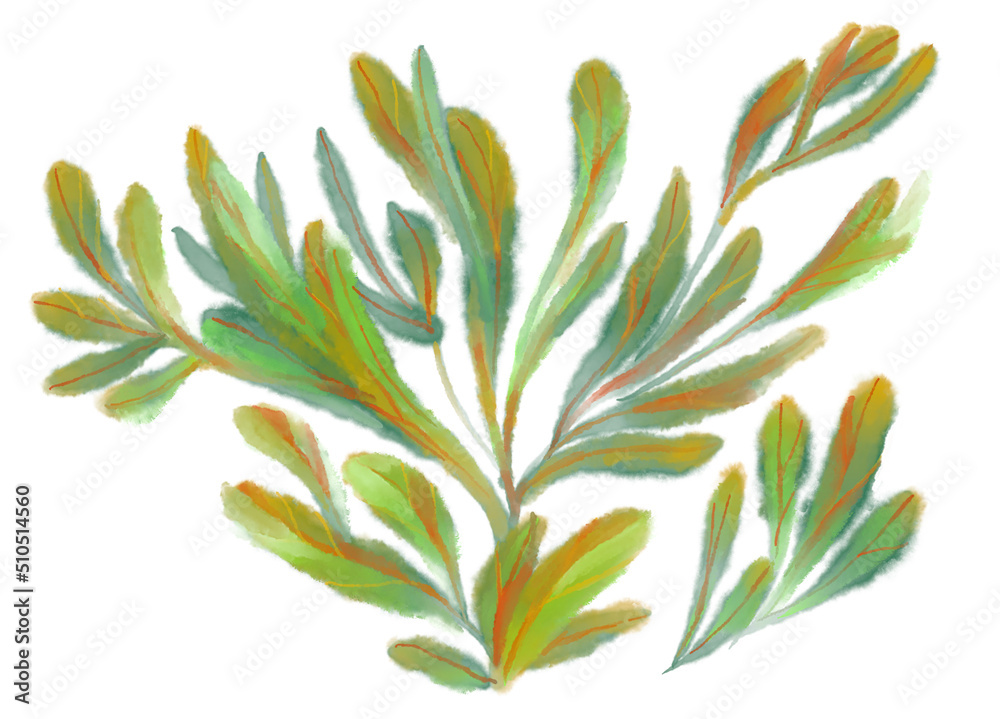 Tropical red green plant elements autumn watercolor hand painting illustration