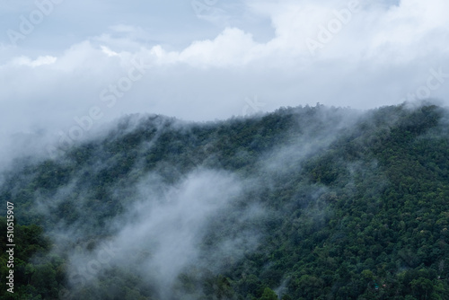 Fototapeta Naklejka Na Ścianę i Meble -  Landscape image of greenery rainforest mountains and hills on foggy day