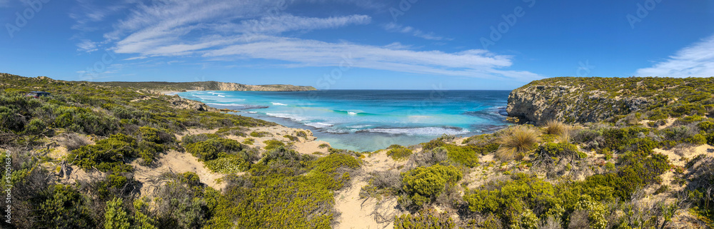 Island beach panoramic view with ocean and vegetation