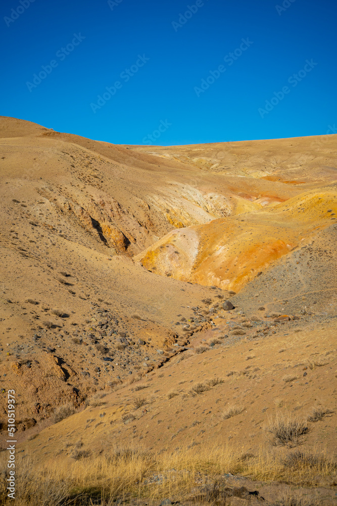 Naklejka premium Yellow mountains in Kyzyl-Chin valley or Mars valley in Altai, Siberia, Russia.