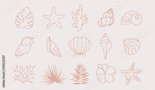 Summer icons set with corals, palm leaves and seashells. Cute sea, ocean and brown background with sand. For social media, accommodation rental and travel services.