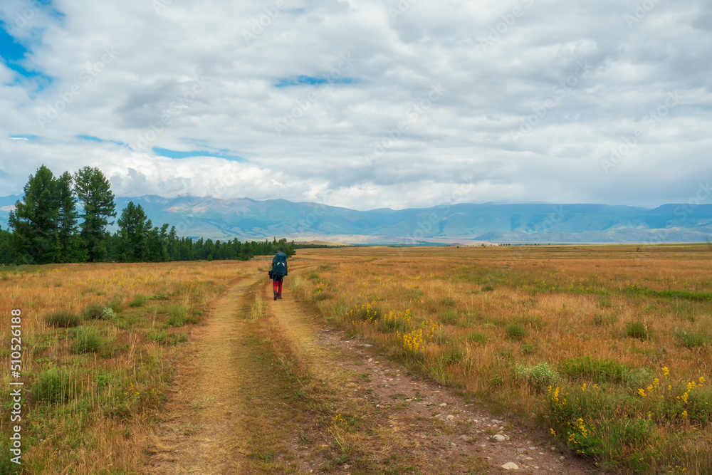 Obraz premium Solo hiking in the picturesque autumn mountain valley. Heavy climb in the mountains with a big backpack. Travel lifestyle, hiking hard track, adventure concept in autumn vacation.
