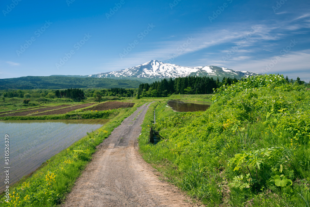 秋田県　鳥海山と田園の道