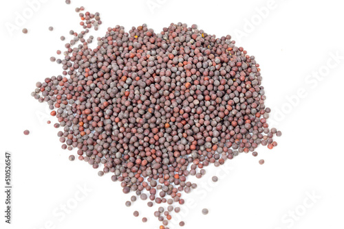 Black Mustard seed isolated on white background 