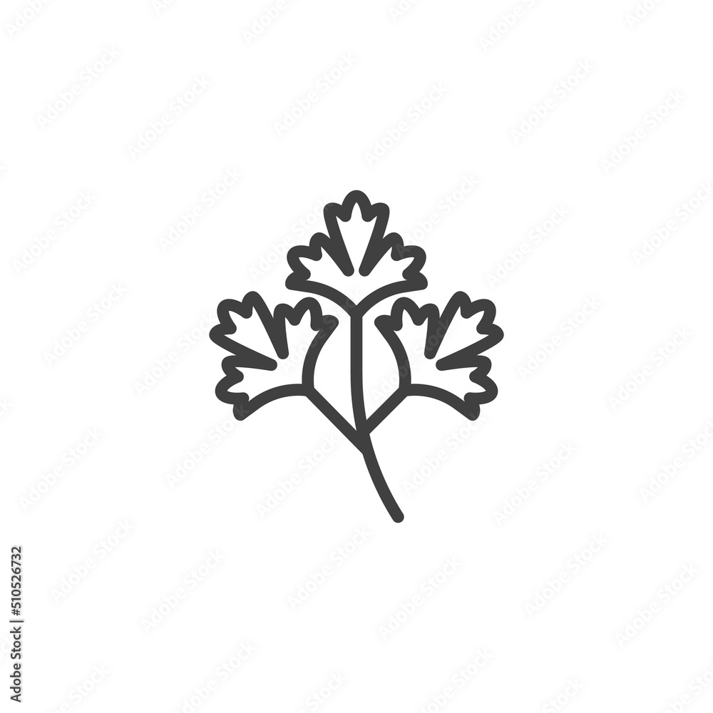 Parsley leaf line icon