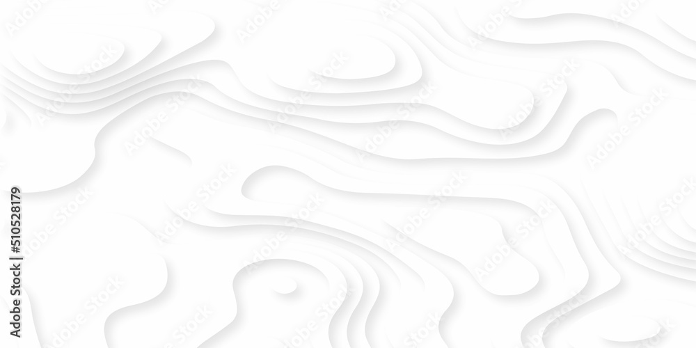 Abstract wavy line 3d paper cut white background. Topographic canyon geometric map relief texture with curved layers and shadow. Abstract realistic papercut decoration textured with wavy layers Abstract wavy line 3d paper cut white background. Topographic canyon geometric map relief texture with curved layers and shadow. Abstract realistic papercut decoration textured with wavy layers
