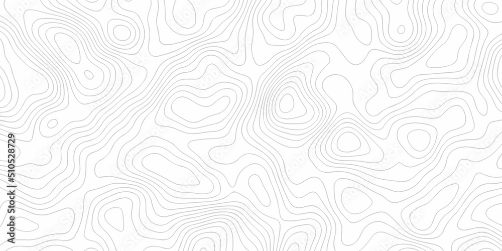 White wave paper curved reliefs abstract background, Abstract topographic contours map background, Topography map background. Vector geographic contour map White wave paper curved reliefs abstract background, Abstract topographic contours map background, Topography map background. Vector geographic contour map