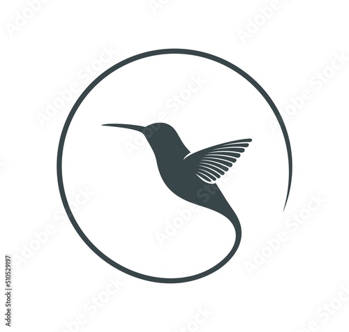 Obraz na plátně Hummingbird logo. Isolated hummingbird on white background