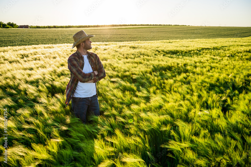 Farmer is cultivating barley. He is satisfied because of good season.