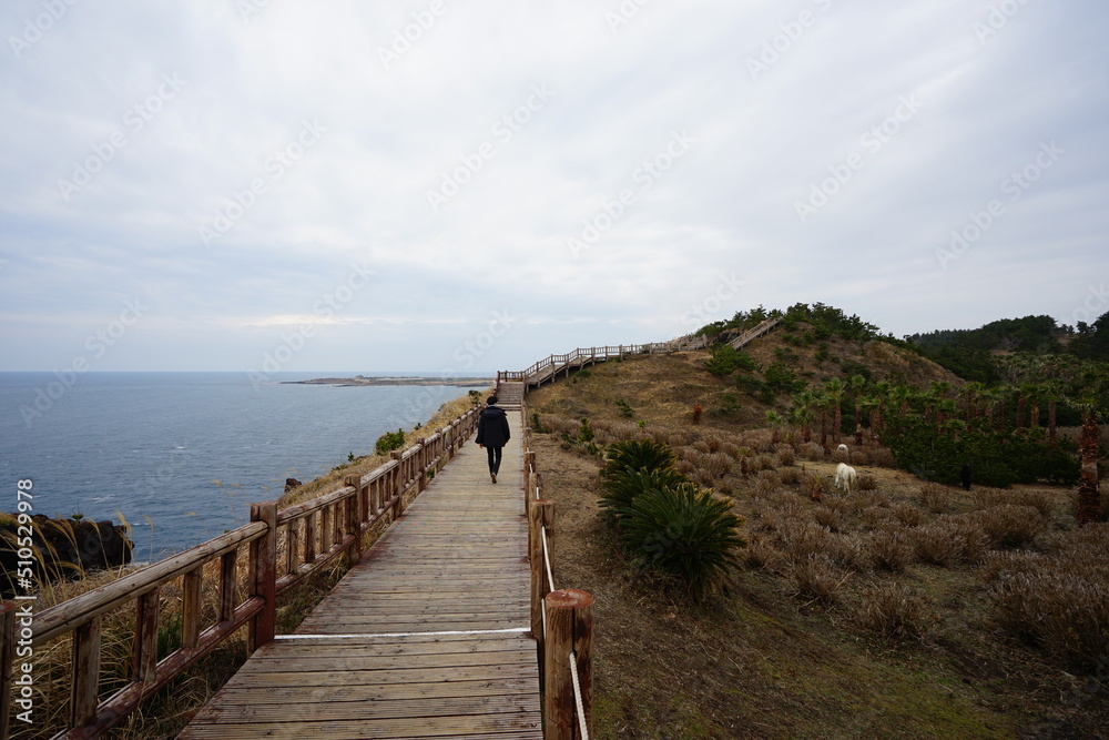 seaside cliff walkway and horse