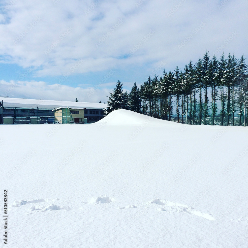 Fototapeta premium snow covered house