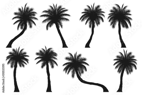 set of silhouette palm tree  coconut tree