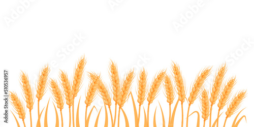Wheat  oat  rye or barley field silhouette. Cereal plant border  agricultural landscape with golden spikelets. Banner for design beer  bread  flour packaging