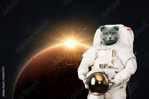 Space cat astronaut in a space suit with a helmet on the background of the red planet Mars with rays of sunlight. Funny cat spaceman. Creative idea and pet