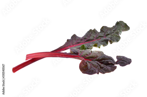 Mangold or Swiss chard leaves on a white background photo