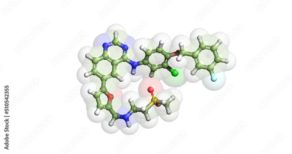 Fototapeta premium Lapatinib, anticancer drug, 3D molecule