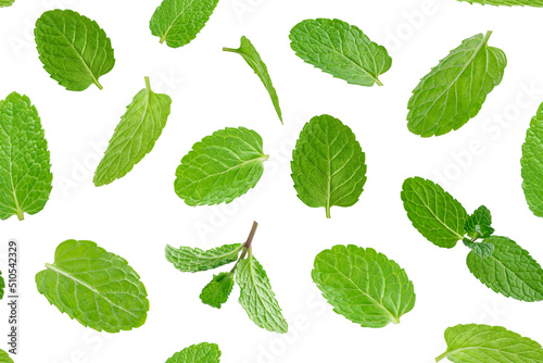 Seamless pattern of green mint leaves on white background.