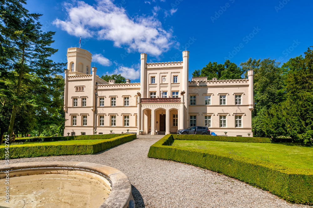 Neo-gothic Palace from 19th century. Mierzecin, Lubusz Voivodeship, Poland Neo-gothic Palace from 19th century. Mierzecin, Lubusz Voivodeship, Poland