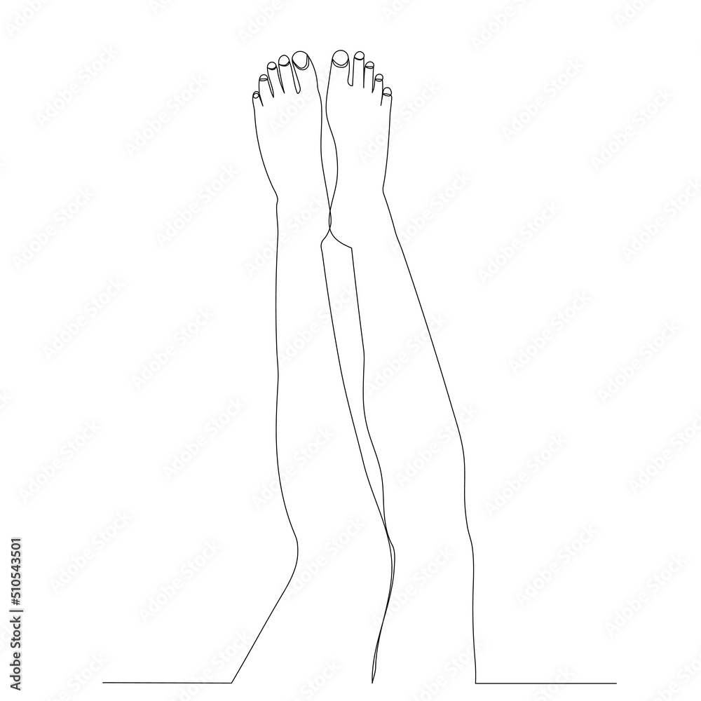 female feet drawing by one continuous line, sketch vector female feet drawing by one continuous line, sketch vector