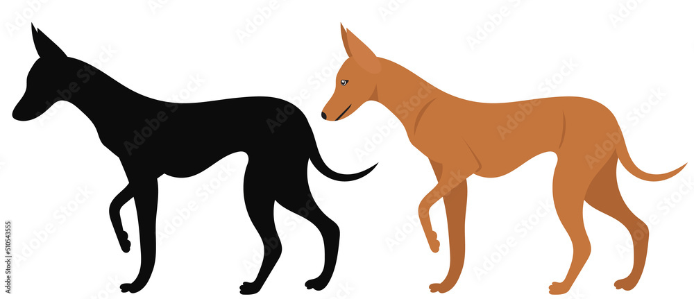 dog in flat design, isolated on white background vector dog in flat design, isolated on white background vector
