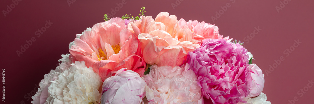 Abundance of Fresh bunch of Peonies Bouquet of different pink colors on dark pink background. Card Concept, copy space for text, banner size Abundance of Fresh bunch of Peonies Bouquet of different pink colors on dark pink background. Card Concept, copy space for text, banner size