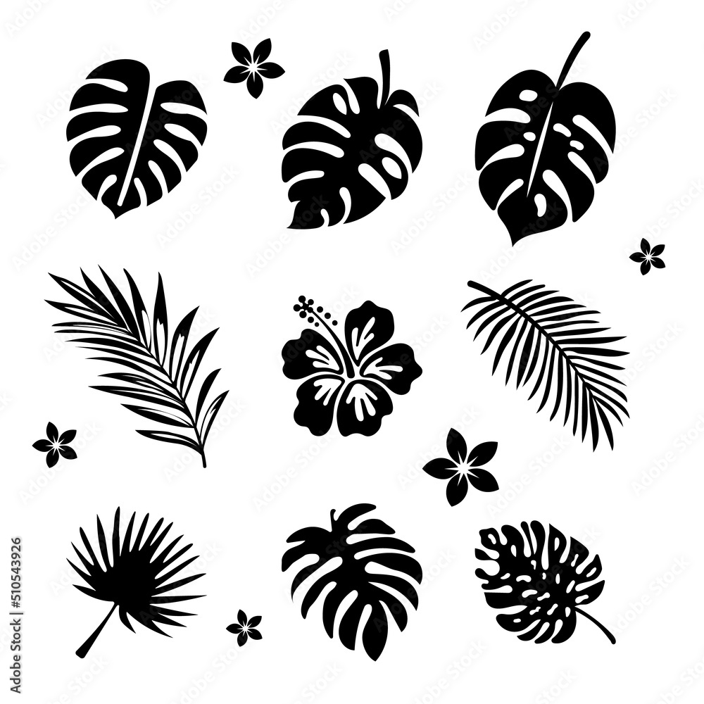 Set of vector clipart of the exotic leaves and flowers. EPS10 Set of vector clipart of the exotic leaves and flowers. EPS10