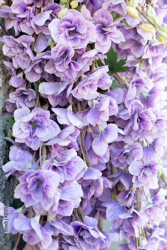 Purple decorative artificial Delphinium flowers close-up. Shop window decoration. Vertical photo.