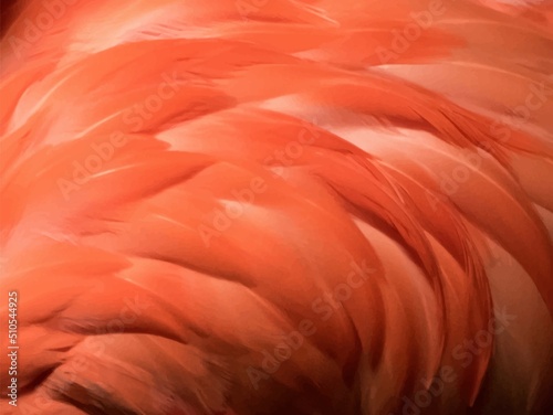 Vector illustration of orange flamingo feathers. EPS10.