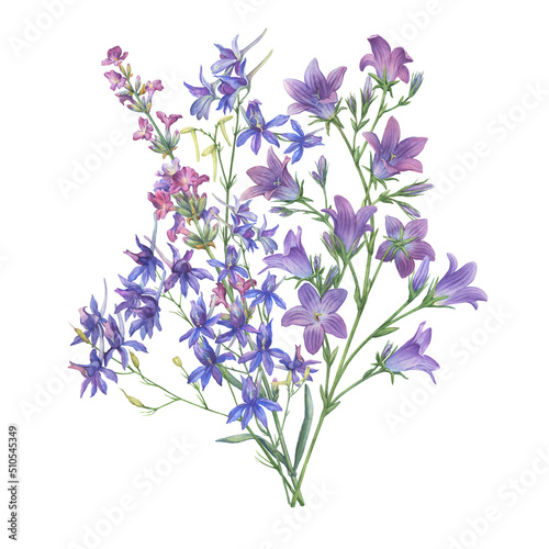 Bouquet with violet and lilac lavender, bluebell, field larkspur flowers. Watercolor hand painting illustration on isolate white background.