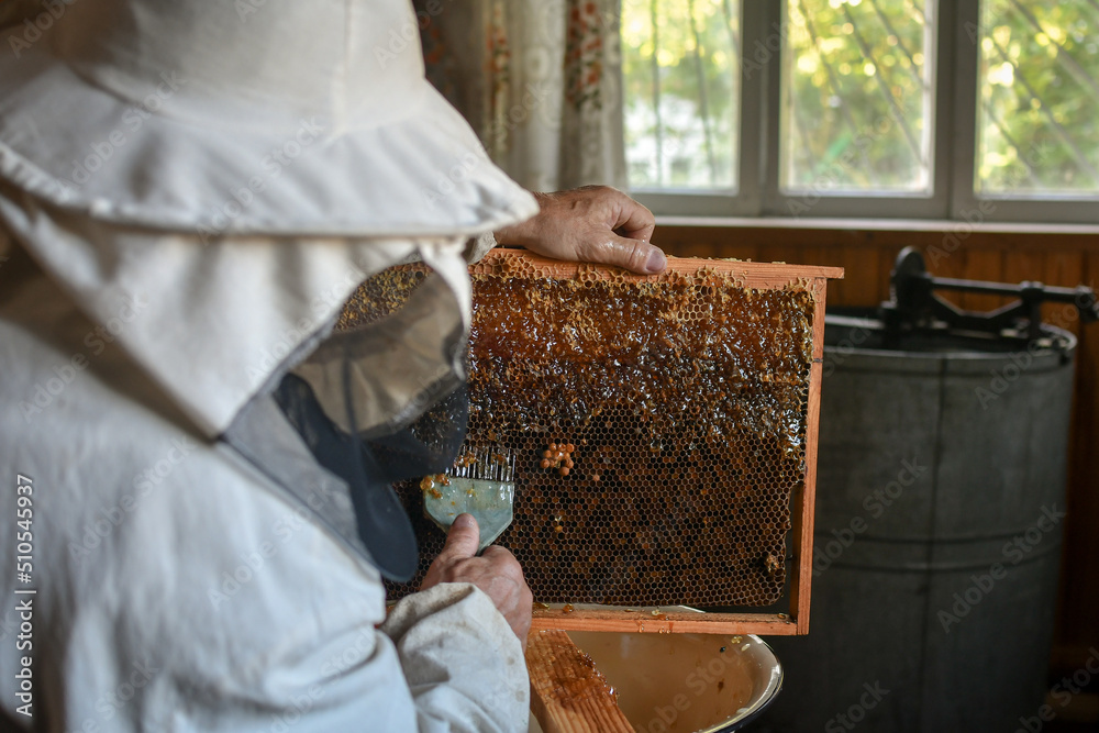 Process of honey production, beekeeper collecting honey. Using beekeeping tools for opening wax cells full of ready product. Selective focus. Process of honey production, beekeeper collecting honey. Using beekeeping tools for opening wax cells full of ready product. Selective focus.