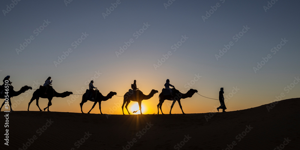 Caravana de camellos en el desierto del Sahara. Merzouga, Marruecos.