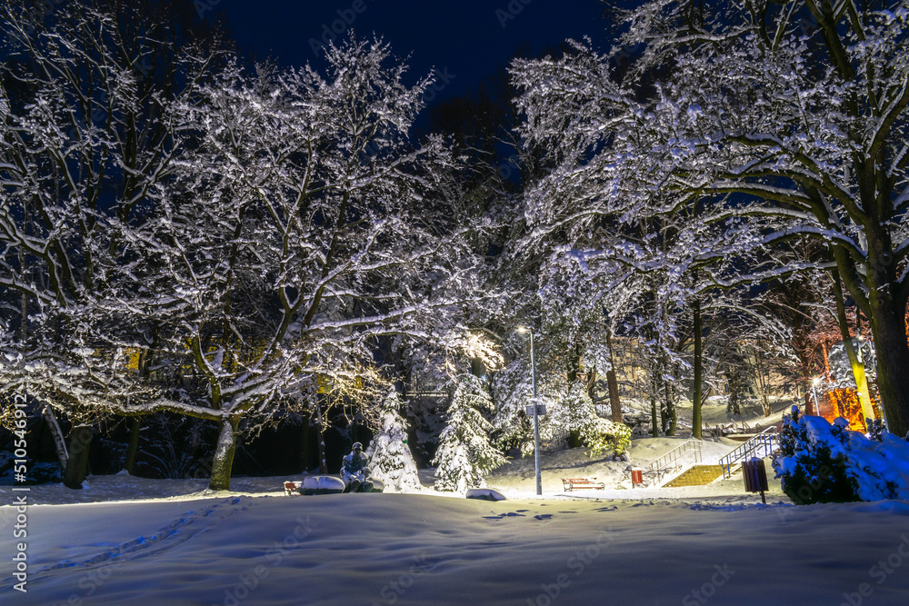 winter in the park