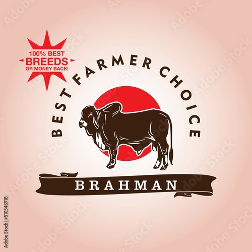 brahman breeds bull logo, silhouette of great big bull standing, vector illustrations photo