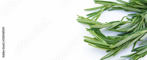 green leaves rosemary close up frame on white  background top view.Banner. Copy space. 