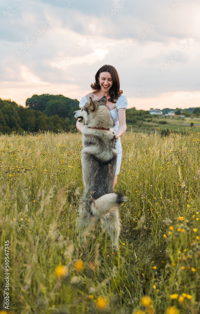 young cheerful female playing with her husky dog in the field during beautiful sunset young cheerful female playing with her husky dog in the field during beautiful sunset