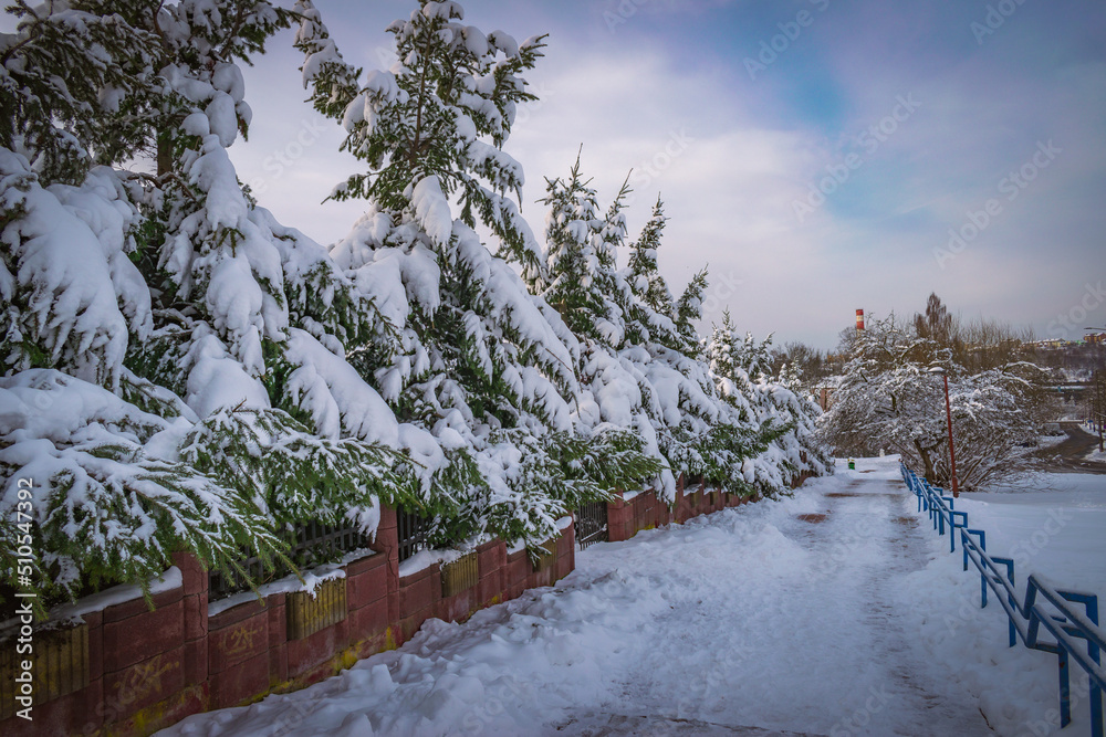frosty morning