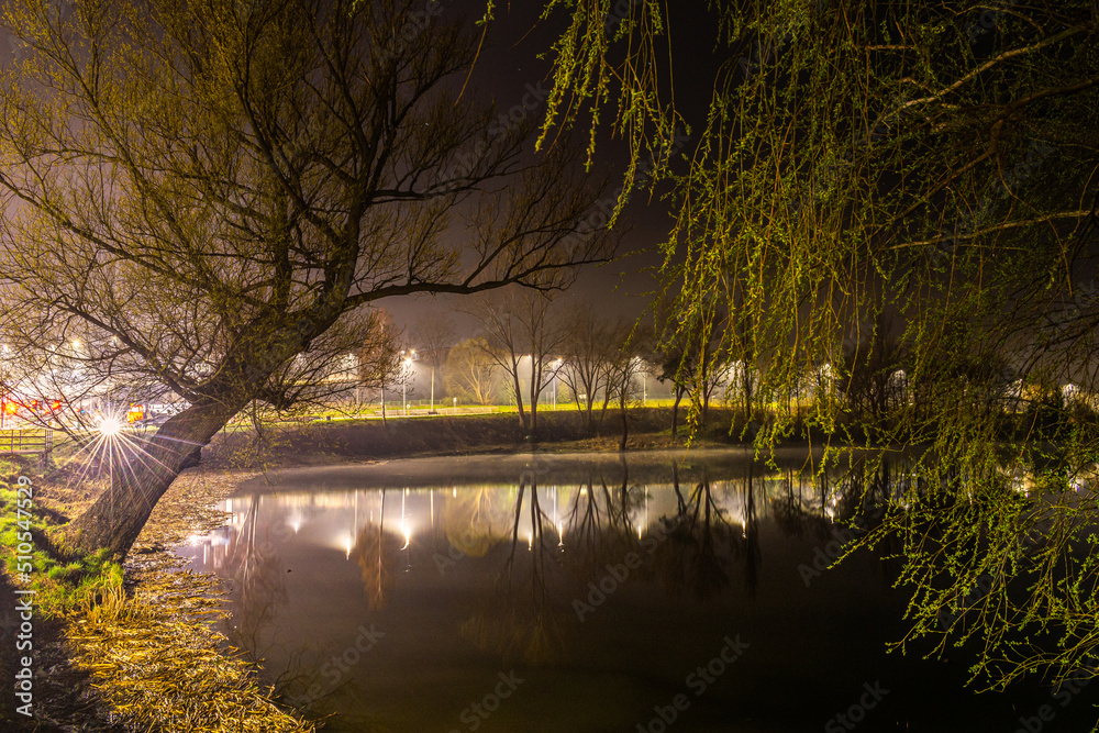 mirror image on the lake