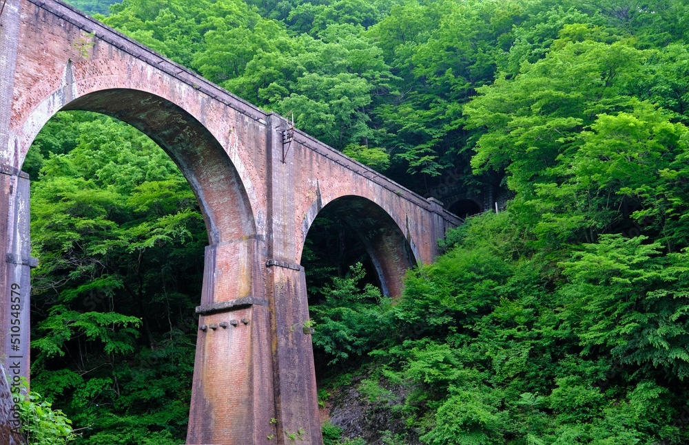 Fototapeta premium 新緑に包まれる碓氷第三橋梁