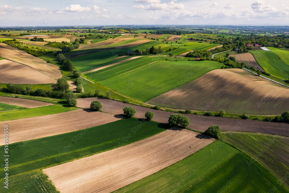 Fotografie Colorful rural Landscape at Spring