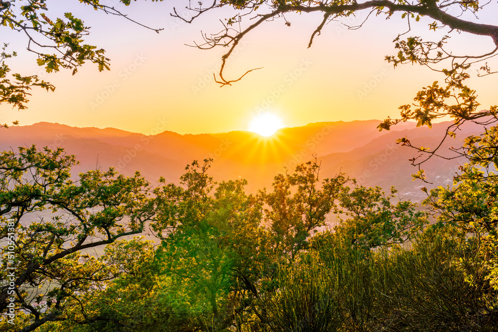 wonderful spring sunset in mountains with amazing view from highland among greeen tree branches to a valley with town, mountains and beautiful sunset on background wonderful spring sunset in mountains with amazing view from highland among greeen tree branches to a valley with town, mountains and beautiful sunset on background