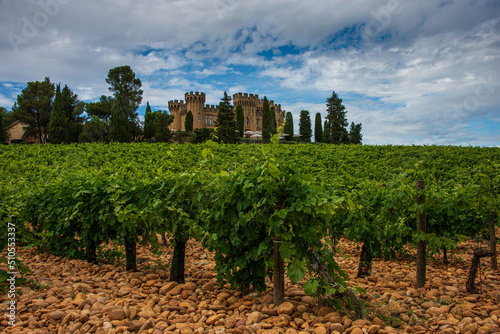 landscape of vineyards at chateauneuf du pape with cobble stones or galet and chateau  ,provence, France. photo