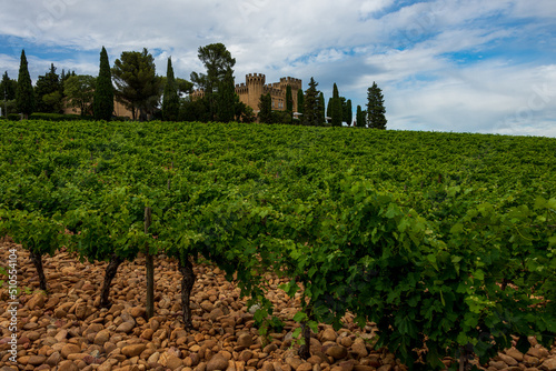 landscape of vineyards at chateauneuf du pape with cobble stones or galet and chateau  ,provence, France.