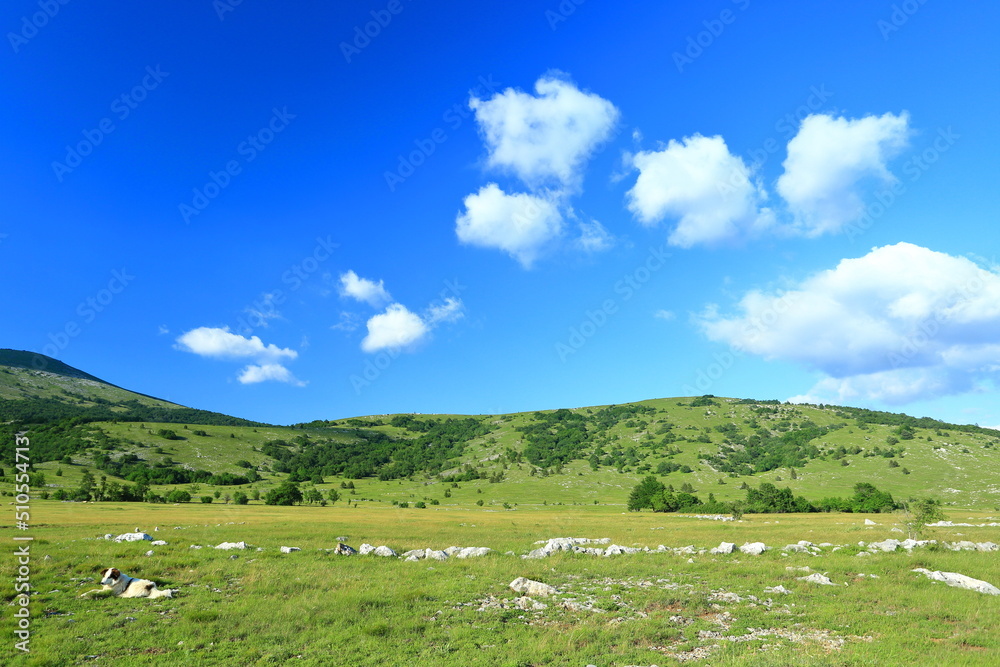 Mountain landscape with meadows and hills. Karst field in Lika region, Croatia. Mountain landscape with meadows and hills. Karst field in Lika region, Croatia.