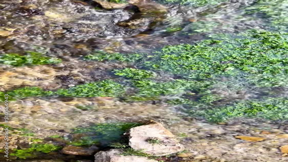 vertical 4k video of Stream Of Flowing River Stream In The Evening Light vertical 4k video of Stream Of Flowing River Stream In The Evening Light