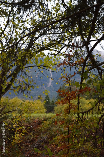 Fototapeta Naklejka Na Ścianę i Meble -  LEchtal im Herbst