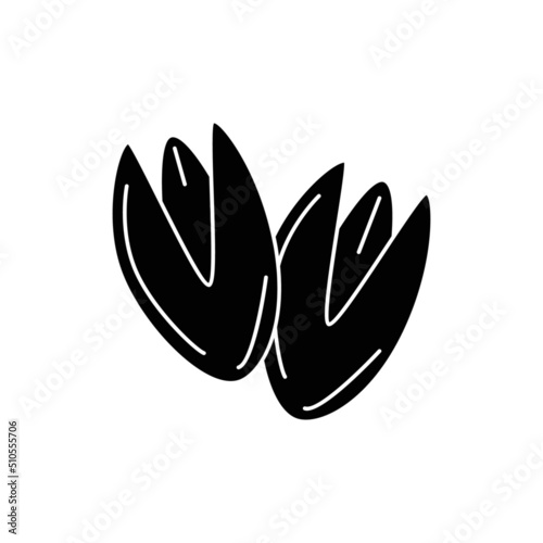 Pistachio nuts icon in black flat glyph, filled style isolated on white background
