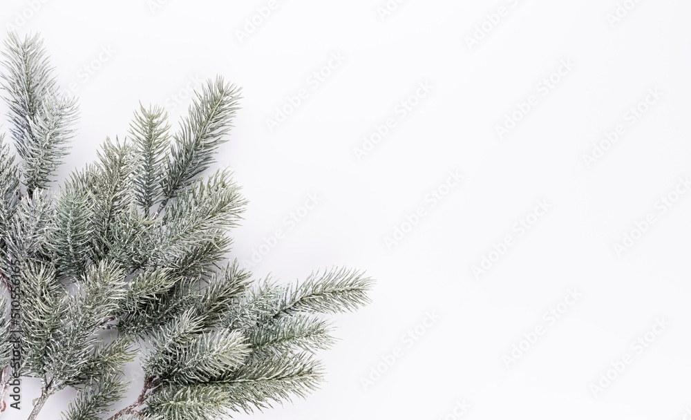 Christmas border  fir branches on a white background