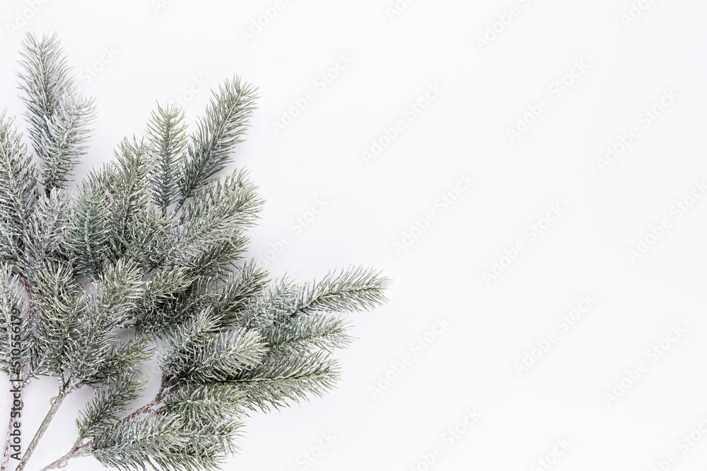 Christmas border  fir branches on a white background