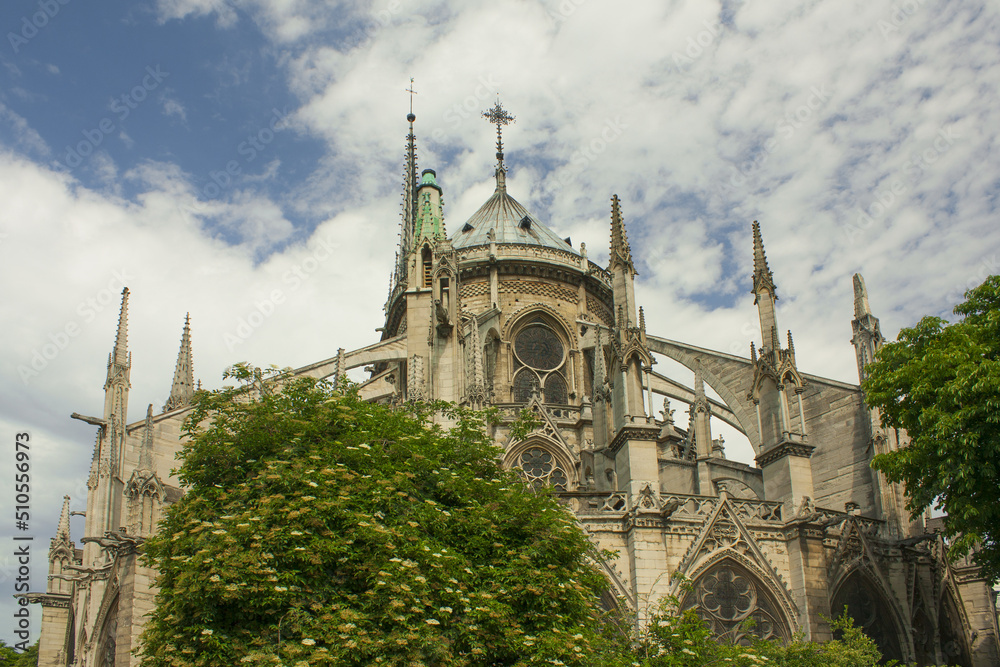 Cathedral of Notre-Dame de Paris in Paris, France Cathedral of Notre-Dame de Paris in Paris, France